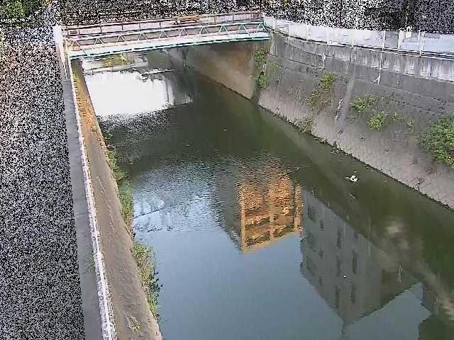 矢上川 中吉橋付近のカメラ画像