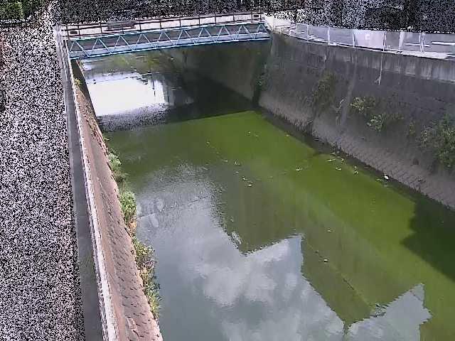 矢上川 中吉橋付近のカメラ画像