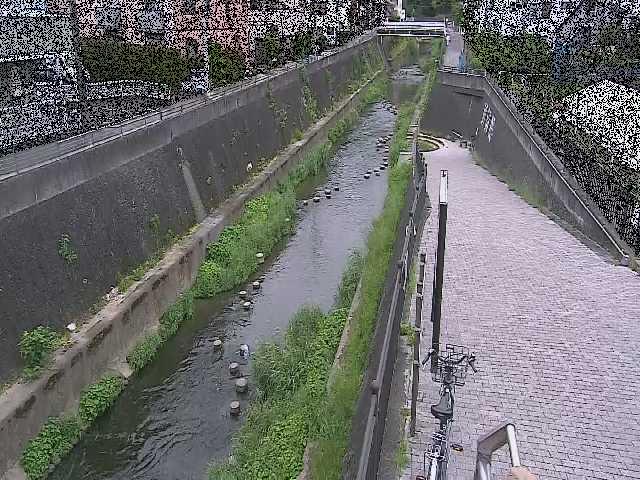 天宿橋付近のカメラ画像