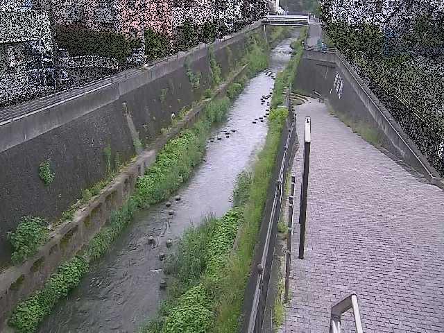 天宿橋付近のカメラ画像