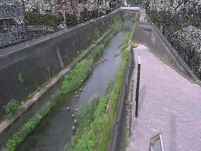 天宿橋付近のカメラ画像
