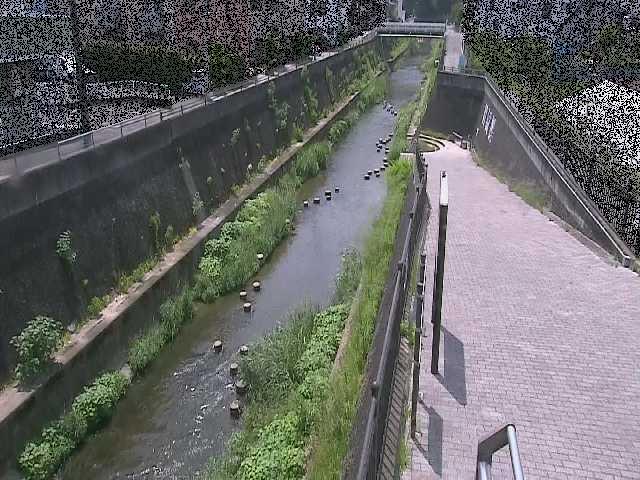 天宿橋付近のカメラ画像