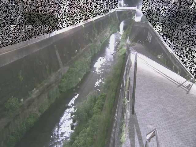 三沢川 天宿橋付近のカメラ画像