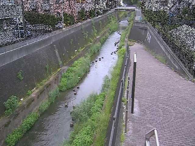 天宿橋付近のカメラ画像