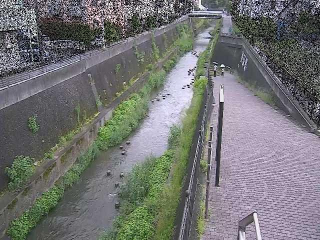 三沢川 天宿橋付近のカメラ画像