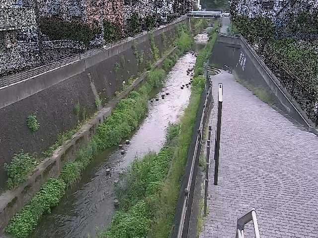 三沢川 天宿橋付近のカメラ画像