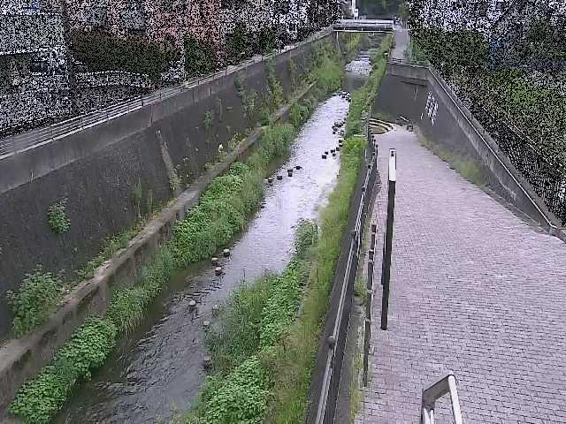 天宿橋付近のカメラ画像