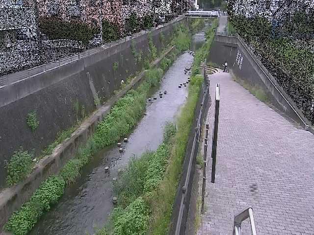 天宿橋付近のカメラ画像