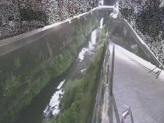 三沢川 天宿橋付近のカメラ画像