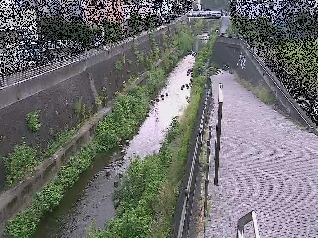 三沢川 天宿橋付近のカメラ画像
