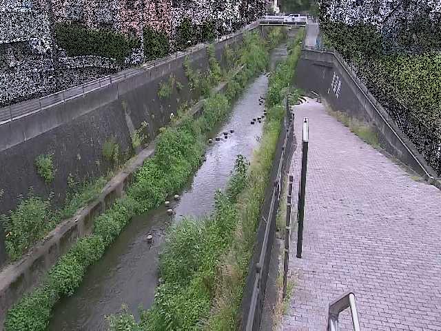 天宿橋付近のカメラ画像