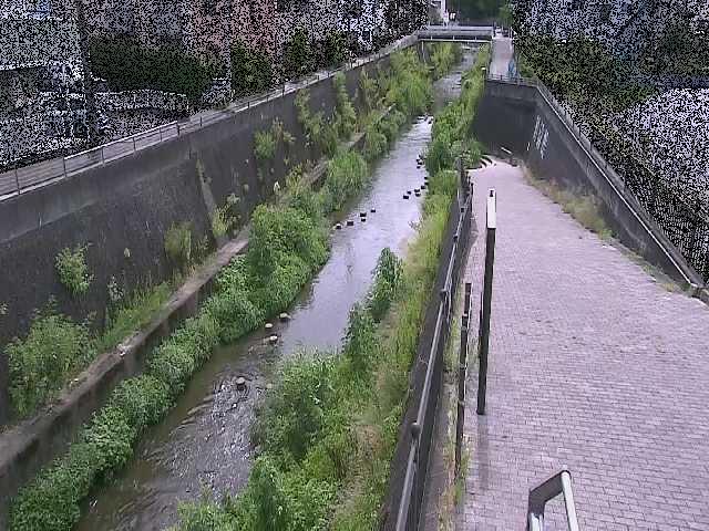 天宿橋付近のカメラ画像