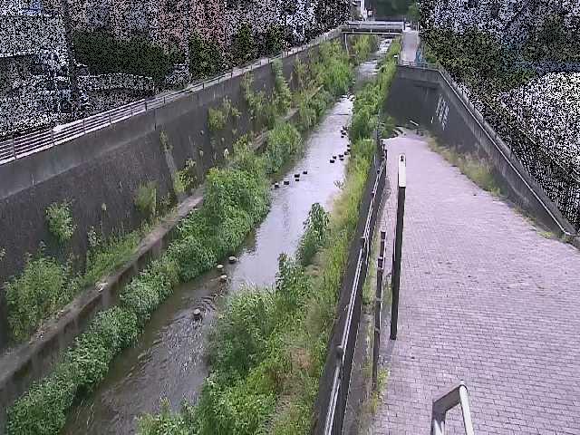 天宿橋付近のカメラ画像