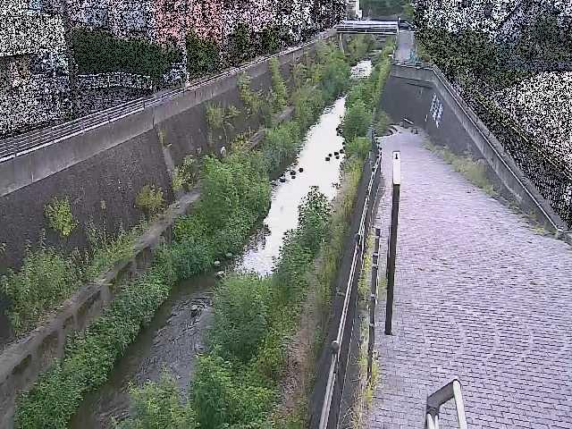 三沢川 天宿橋付近のカメラ画像