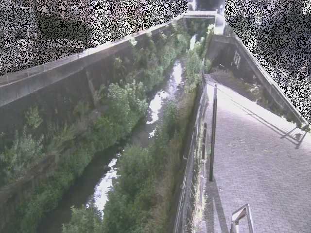 天宿橋付近のカメラ画像