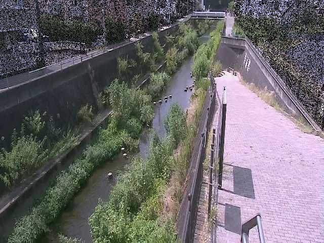 三沢川 天宿橋付近のカメラ画像