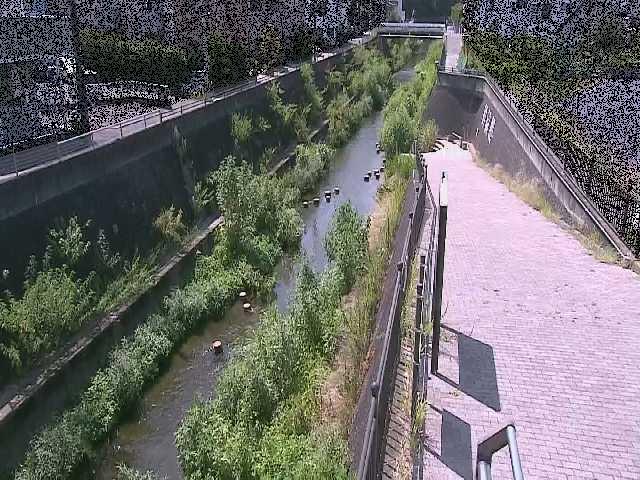 天宿橋付近のカメラ画像