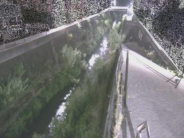 天宿橋付近のカメラ画像