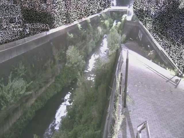 三沢川 天宿橋付近のカメラ画像