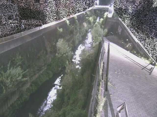 三沢川 天宿橋付近のカメラ画像