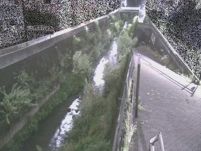 天宿橋付近のカメラ画像