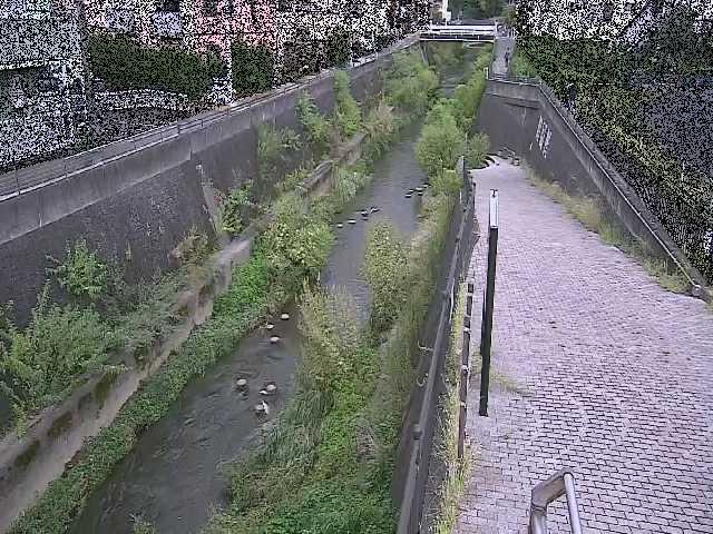 天宿橋付近のカメラ画像