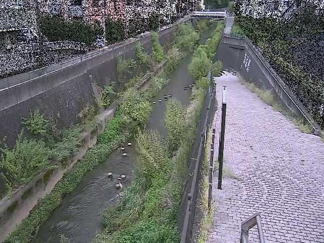 天宿橋付近のカメラ画像