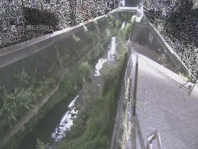 天宿橋付近のカメラ画像
