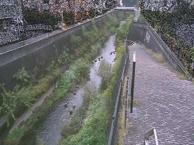三沢川 天宿橋付近のカメラ画像