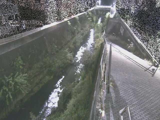 天宿橋付近のカメラ画像