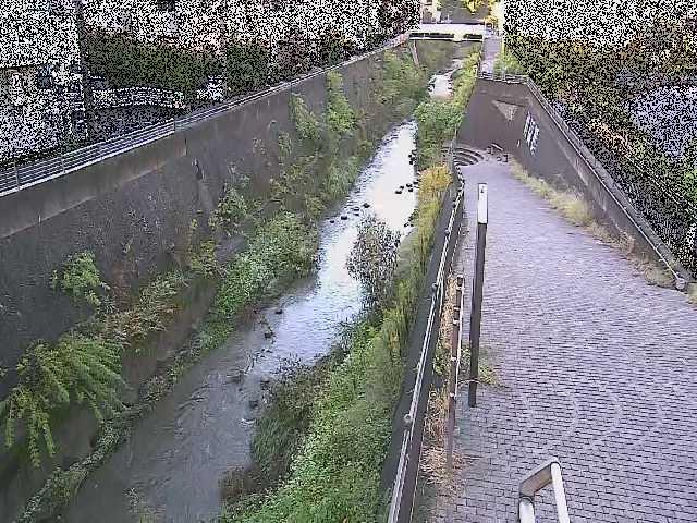 天宿橋付近のカメラ画像