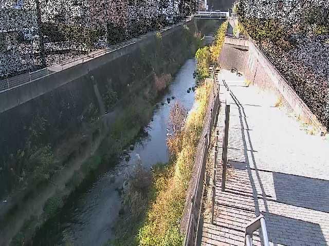 三沢川 天宿橋付近のカメラ画像