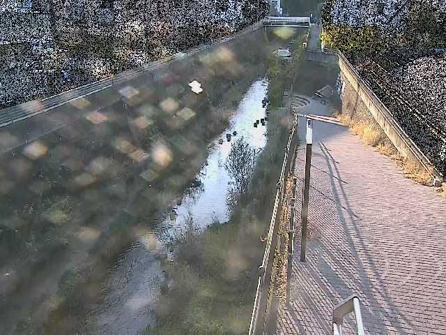 天宿橋付近のカメラ画像