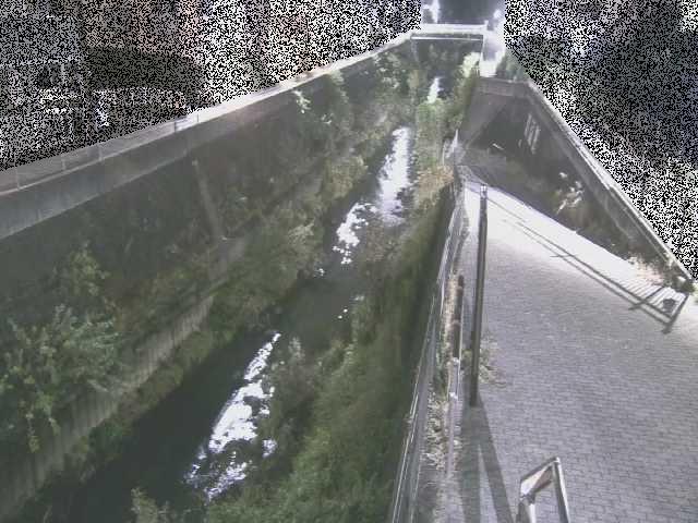 三沢川 天宿橋付近のカメラ画像