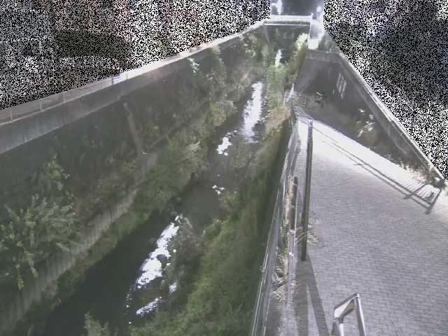 天宿橋付近のカメラ画像