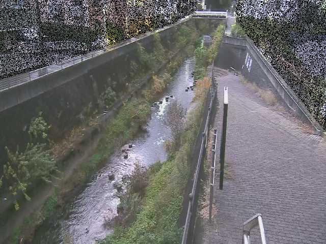 天宿橋付近のカメラ画像