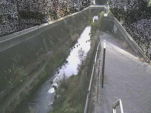 三沢川 天宿橋付近のカメラ画像