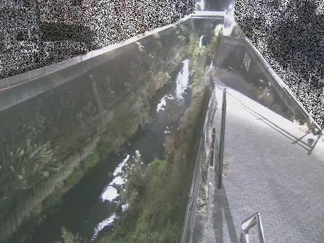 天宿橋付近のカメラ画像