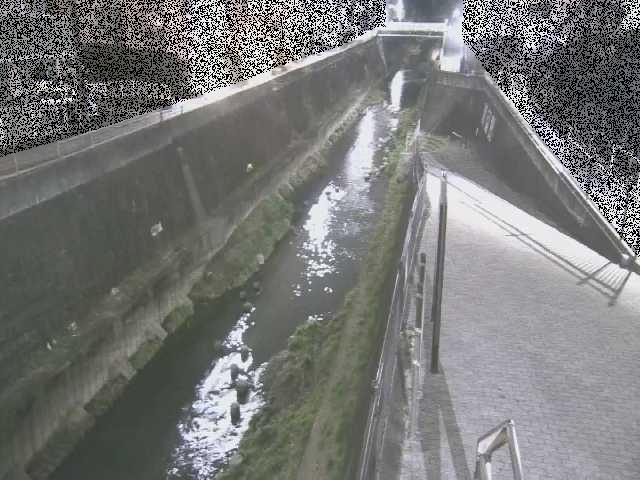 天宿橋付近のカメラ画像