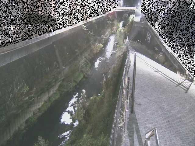 天宿橋付近のカメラ画像