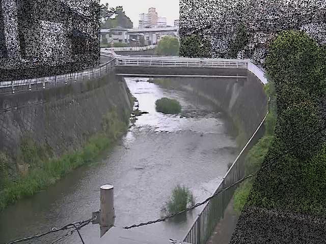 鶴見川 岡上橋付近のカメラ画像