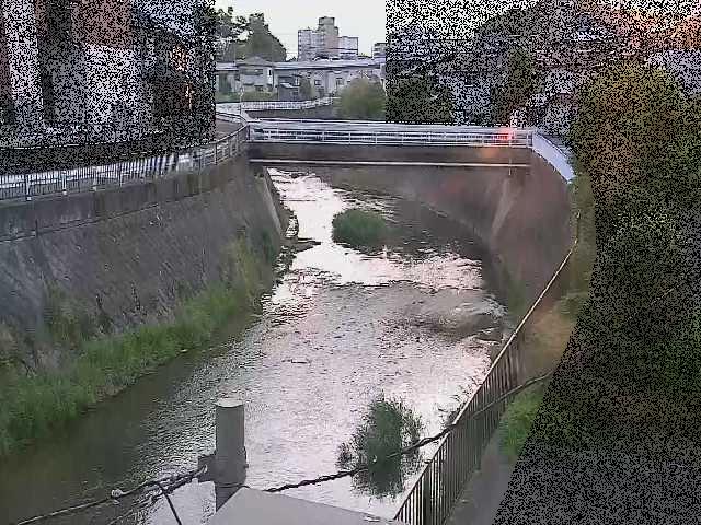 鶴見川 岡上橋付近のカメラ画像