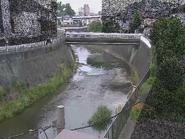 鶴見川 岡上橋付近のカメラ画像