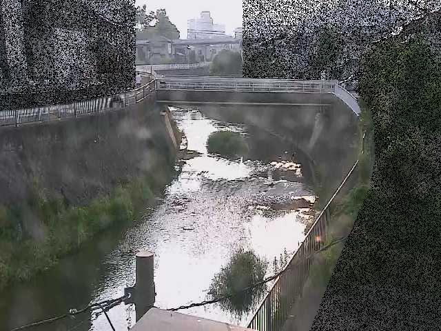 鶴見川 岡上橋付近のカメラ画像
