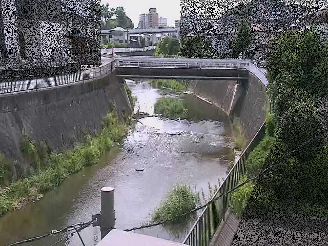 岡上橋付近のカメラ画像