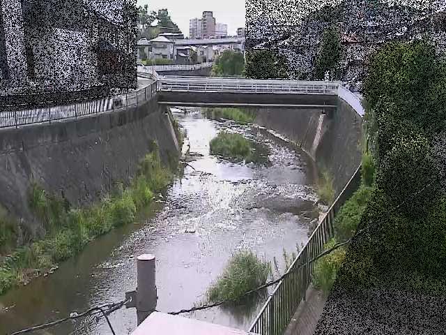 岡上橋付近のカメラ画像