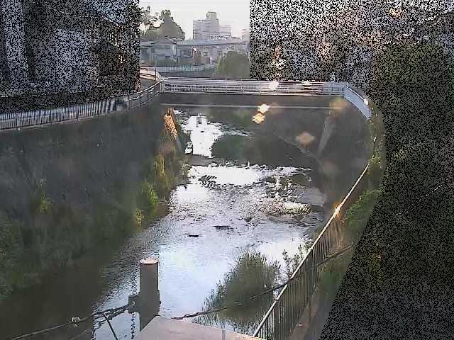 鶴見川 岡上橋付近のカメラ画像