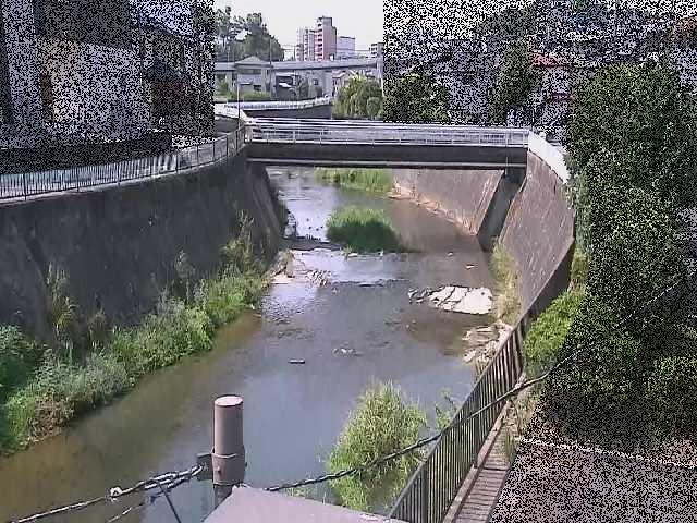 鶴見川 岡上橋付近のカメラ画像