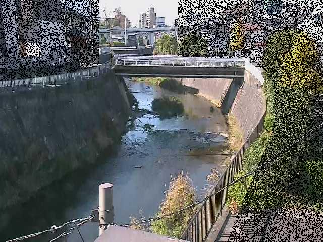 鶴見川 岡上橋付近のカメラ画像