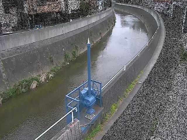 西ヶ崎橋付近のカメラ画像